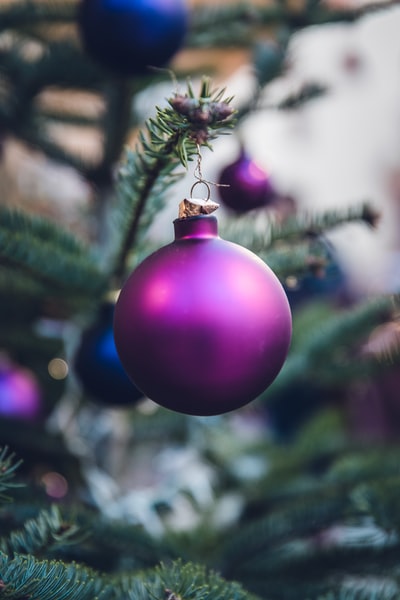 紫色圣诞球挂在圣诞树上
